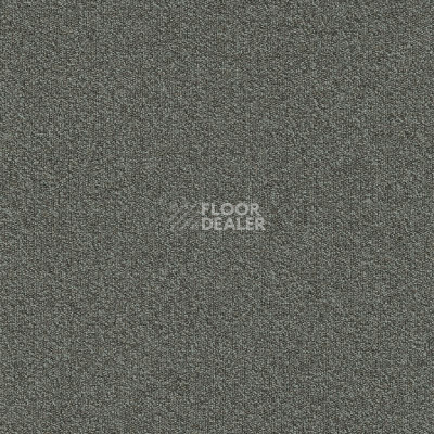 Ковровая плитка Modulyss Millennium Nxtgen Millennium Nxtgen 942 фото 1 | FLOORDEALER